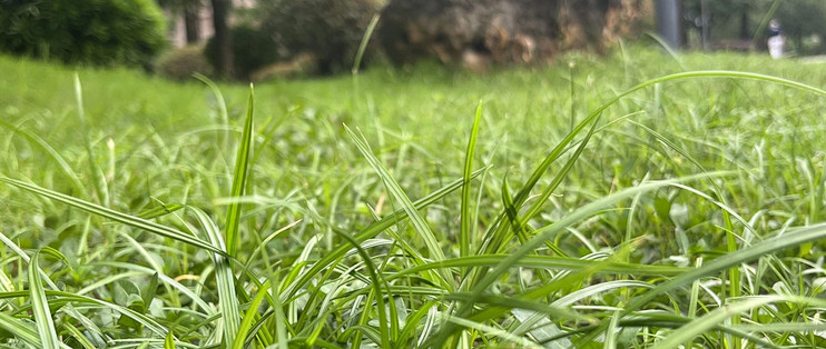 皮肤干燥‌保湿滋润面霜热门款盘点:秋冬锁水照着选