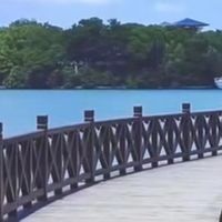 四款修护发膜自用分享｜烫染受损发膜实测，看懂使用门槛再入手！