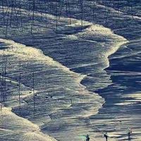 老人想每天喝蛋白粉，哪个品牌适合日常补充