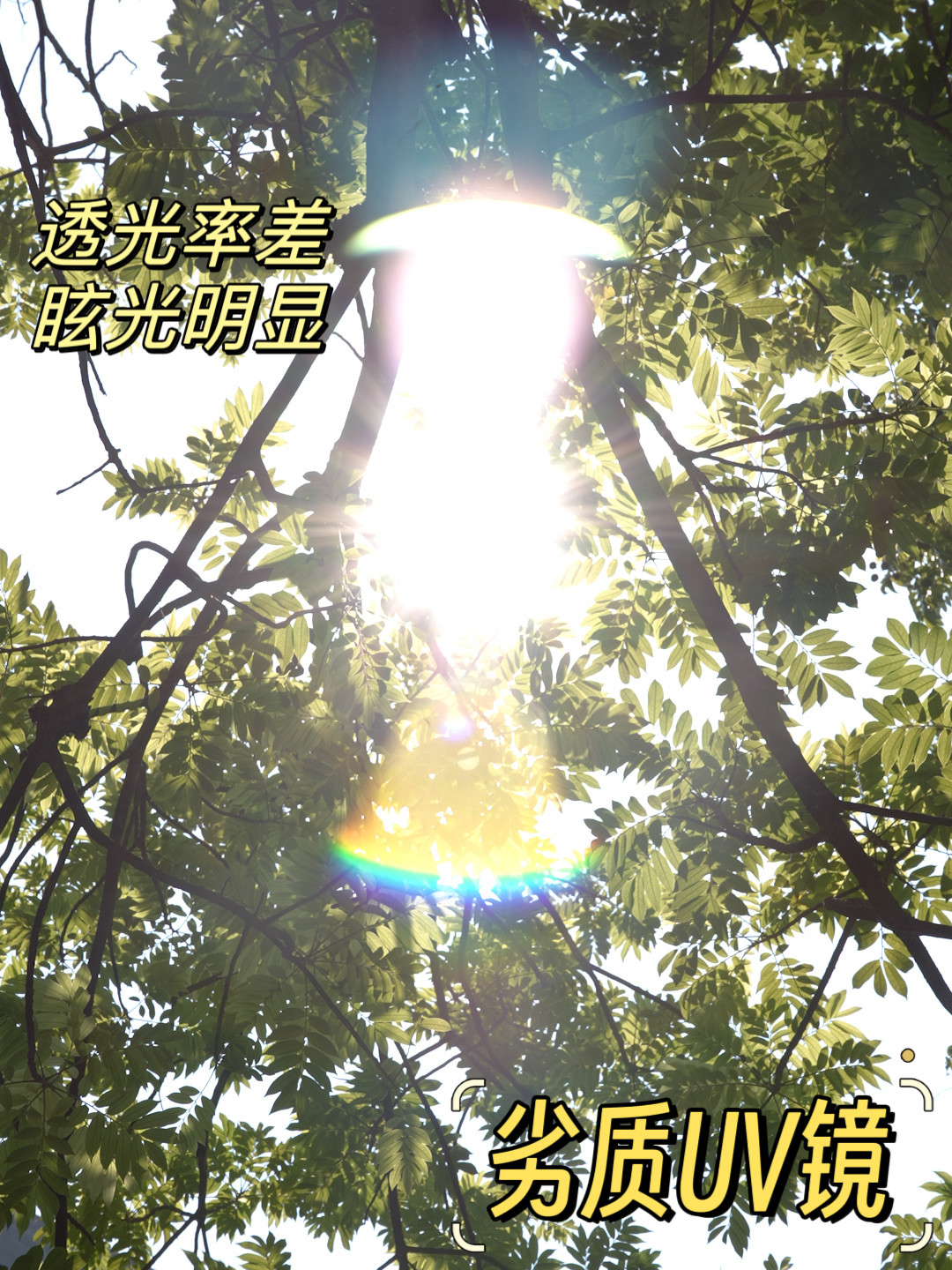 一片滤镜上千块,线下店员都分不清真假:B+W 的溢价到底买的是啥?