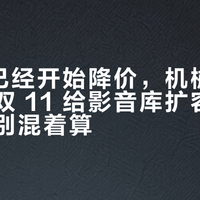 SSD 已经开始降价，机械盘还在涨：双 11 给影音库扩容，这两笔钱别混着算