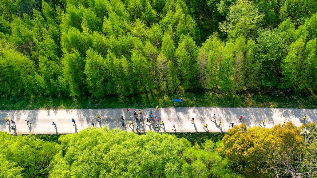 一年两千公里,配速只快五秒:你的问题不在跑量,在“中间”