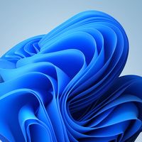 私聊里"丝我"的精简系统别装：自带"自动激活"的，可能就是坑