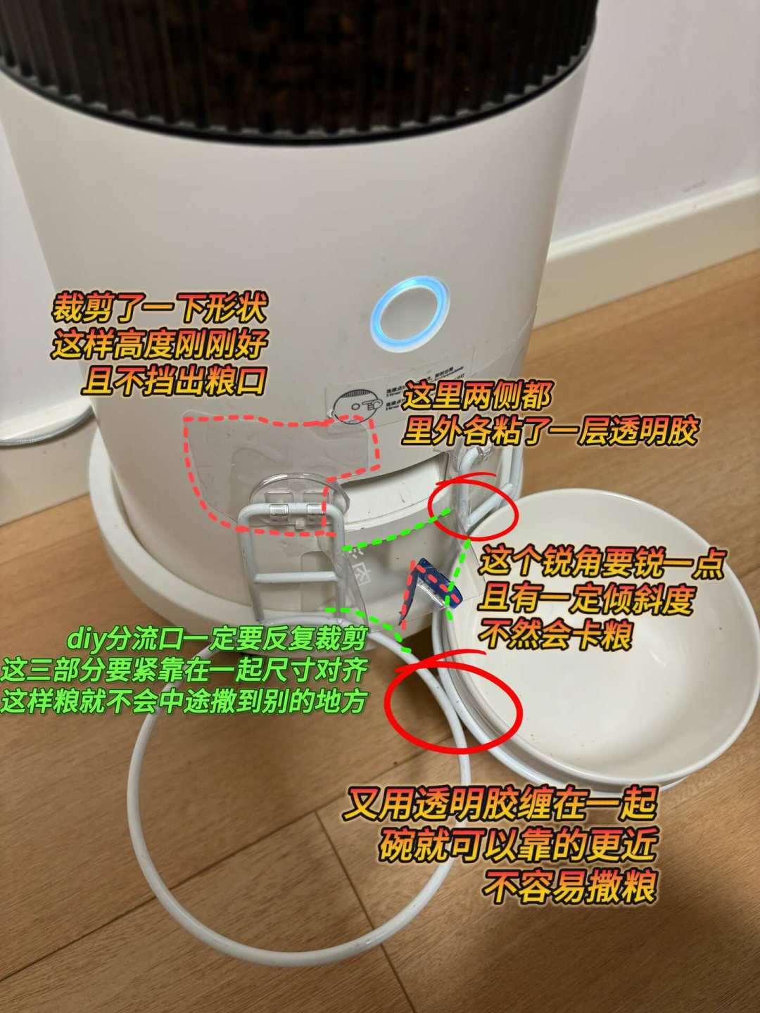 三只猫三种粮,一袋粮喂不起了:多猫家庭分餐,从19元改造到700元刷脸,哪种真的救得了你家