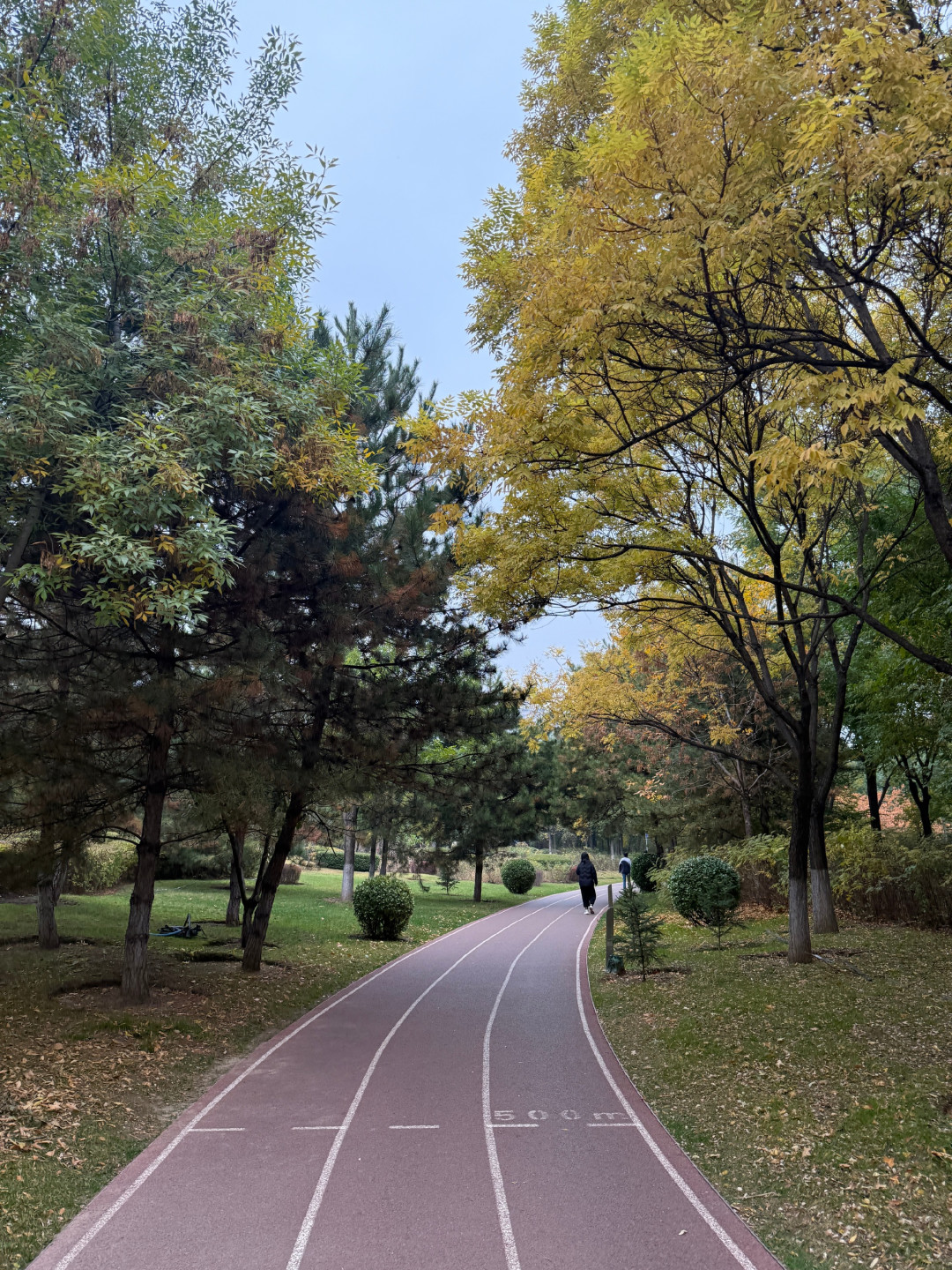 跑起来湿透、停下来失温:秋冬跑步第一课是别穿多
