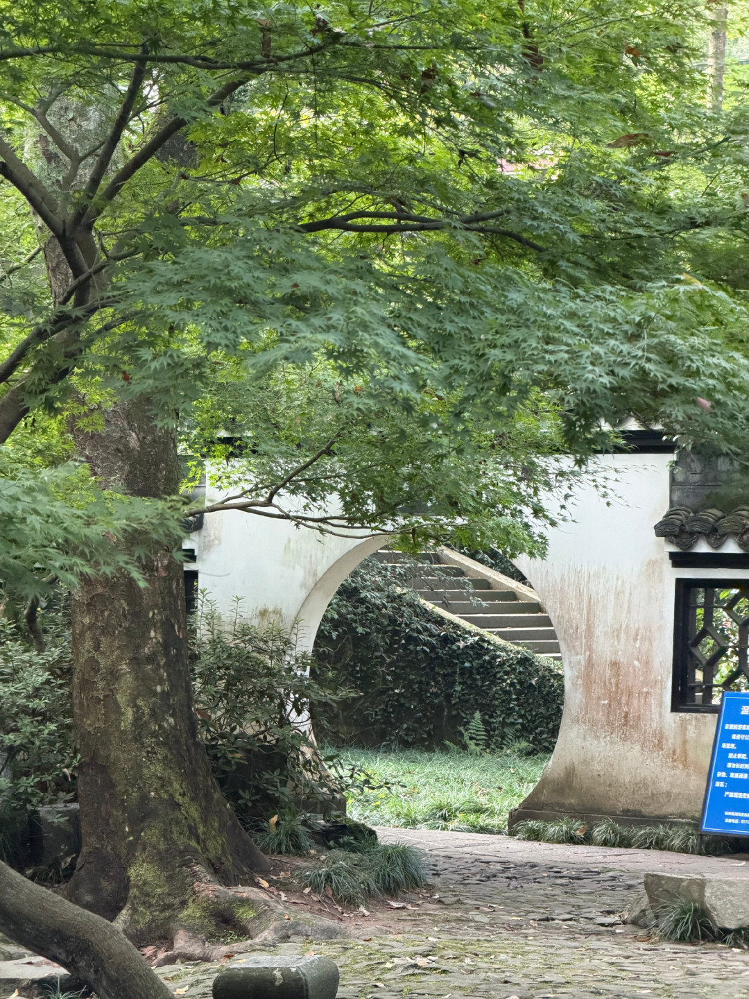 怕伤膝才选「无跳跃」,却练错了段:秋冬居家有氧避坑
