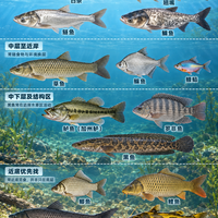 【台钓新手必看】浮漂测水深+鱼的水层怎么找?