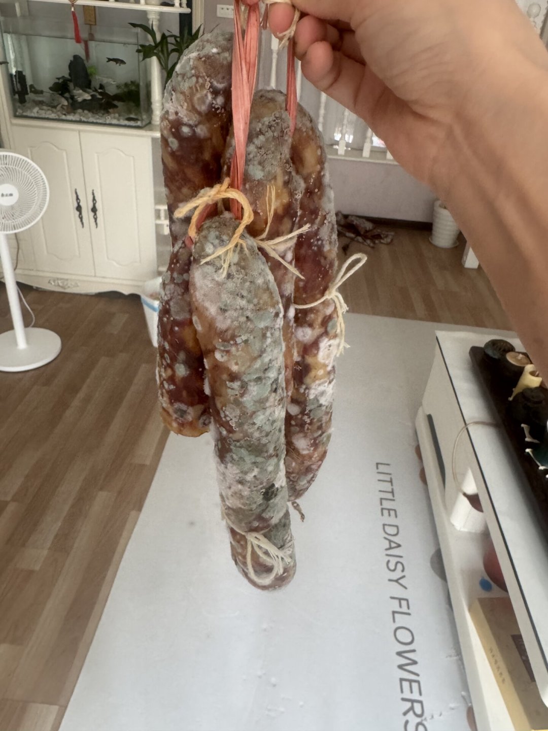立冬灌香肠的风刮满了全网:对完今天的辟谣帖和几十条翻车帖,我发现自制香肠最大的误区恰恰是
