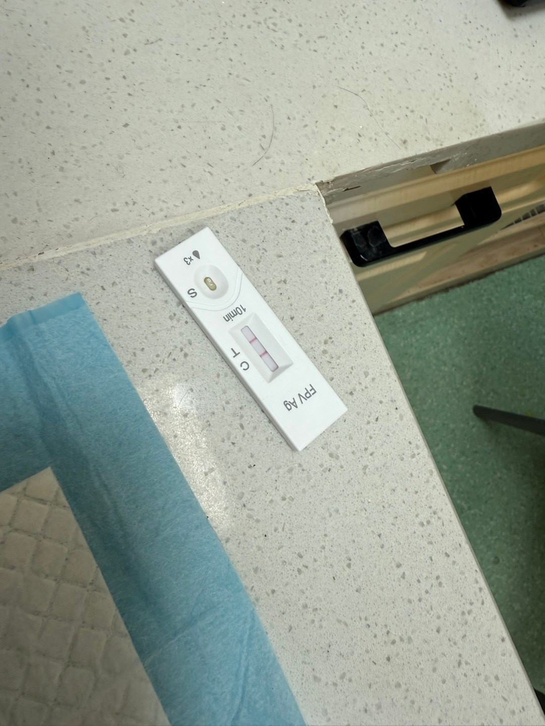 一只猫猫瘟,全屋都得防:酒精和次氯酸都杀不死猫瘟病毒,多猫家庭的72小时清单别做错