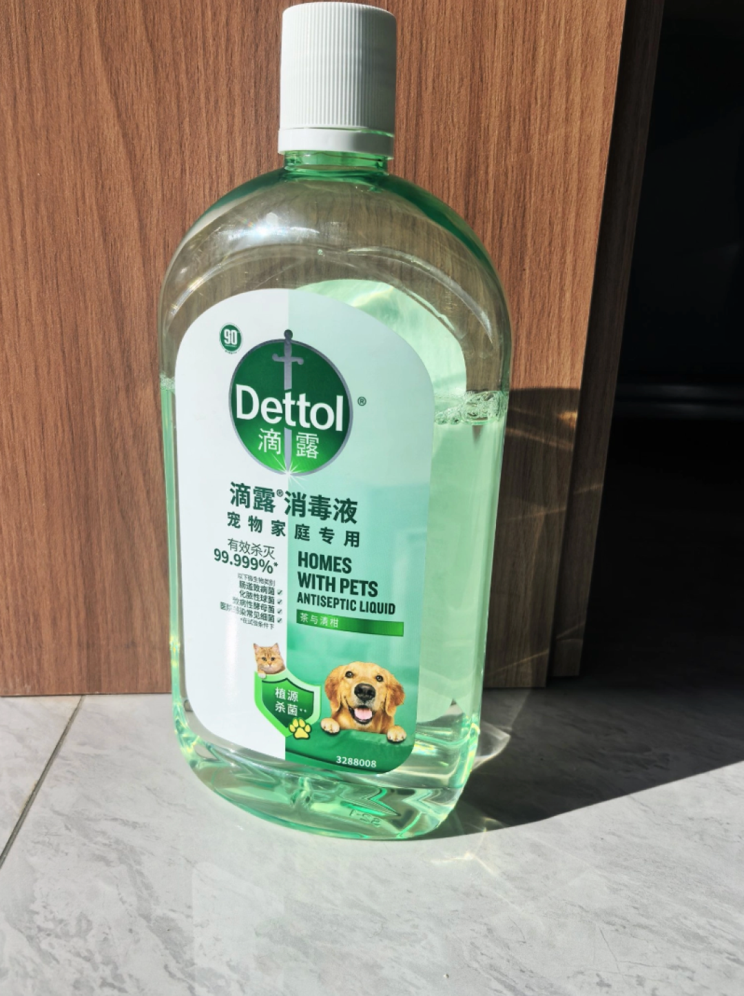 一只猫猫瘟,全屋都得防:酒精和次氯酸都杀不死猫瘟病毒,多猫家庭的72小时清单别做错