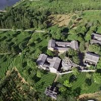 新批次大益生茶喝不出"老味"？先别急着怀旧——替你查完三笔账再站队