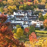11月免票潮开闸，母婴家庭先别急着出发：娃的首道门票本来就免，这三笔账才决定去不去