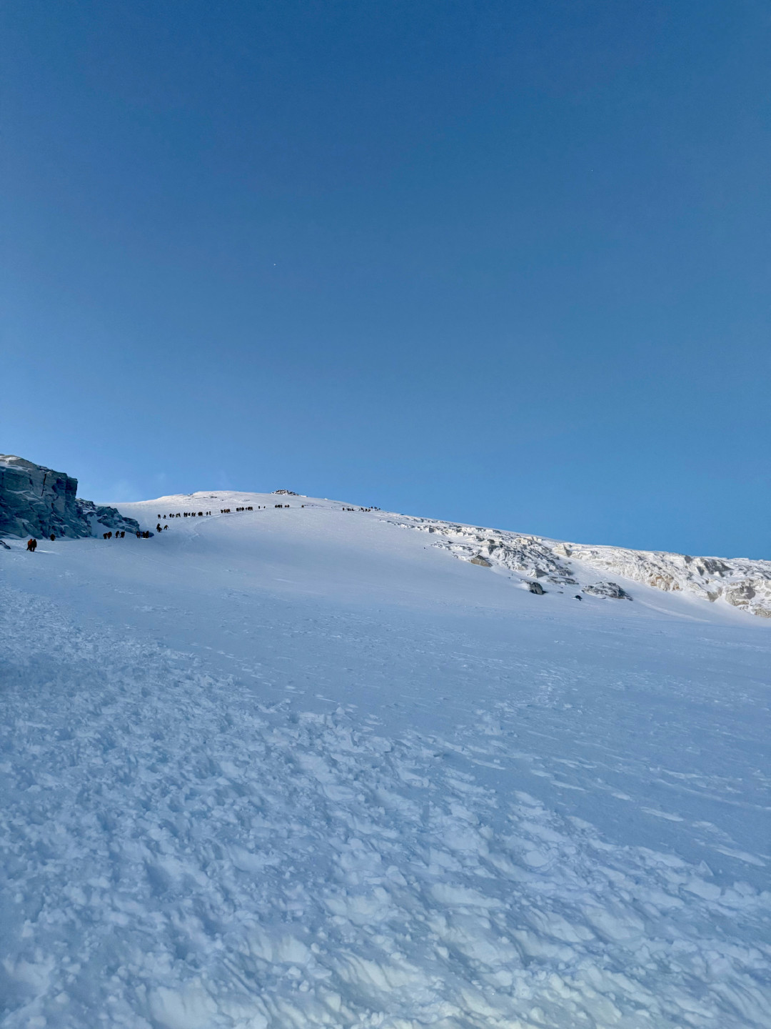 一千块登顶5000米:“人生第一座雪山”被砍掉的那一天