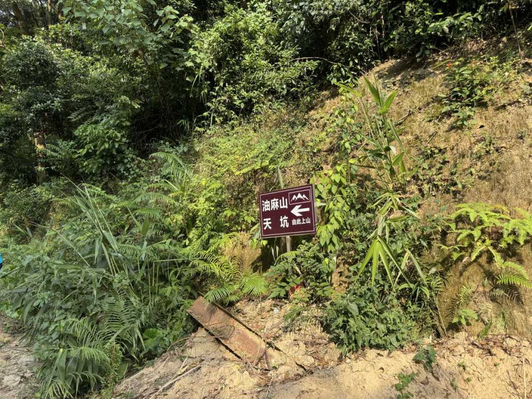 被群嘲