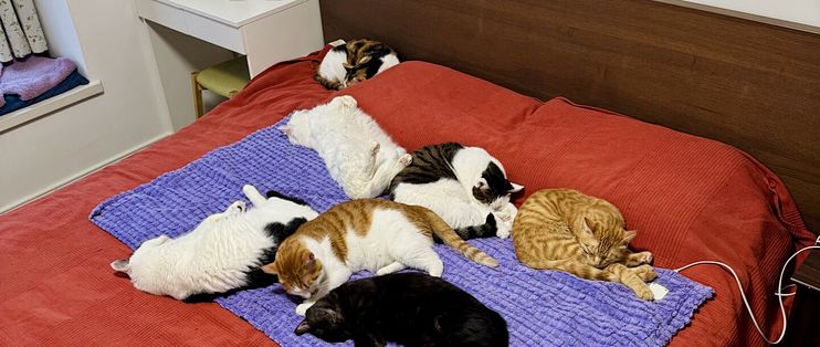 电热毯也有“保质期”，还从出厂那天算？换季第一次用前查这3处