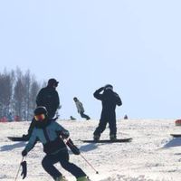 开板前赶双11：雪板能等，雪鞋不能等