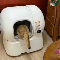 双11自动猫砂盆决赛圈：健康预警被消保委点名夸大，1300和2000到底买的是什么钱