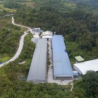 一天吃4个鸡蛋查血脂冲上热搜：普通人每天吃多少才算科学？答案是1个起步，不是上限