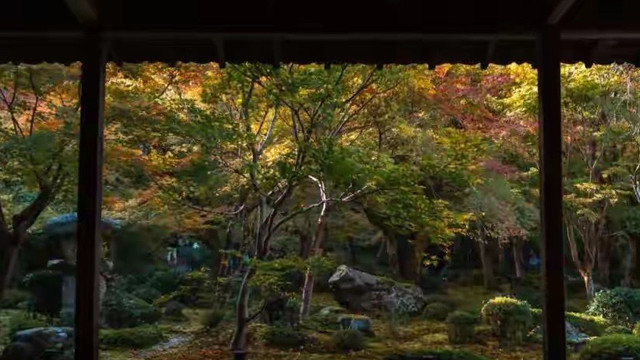 第一次给父母买灵芝孢子油，我是从标签上的总三萜开始看的