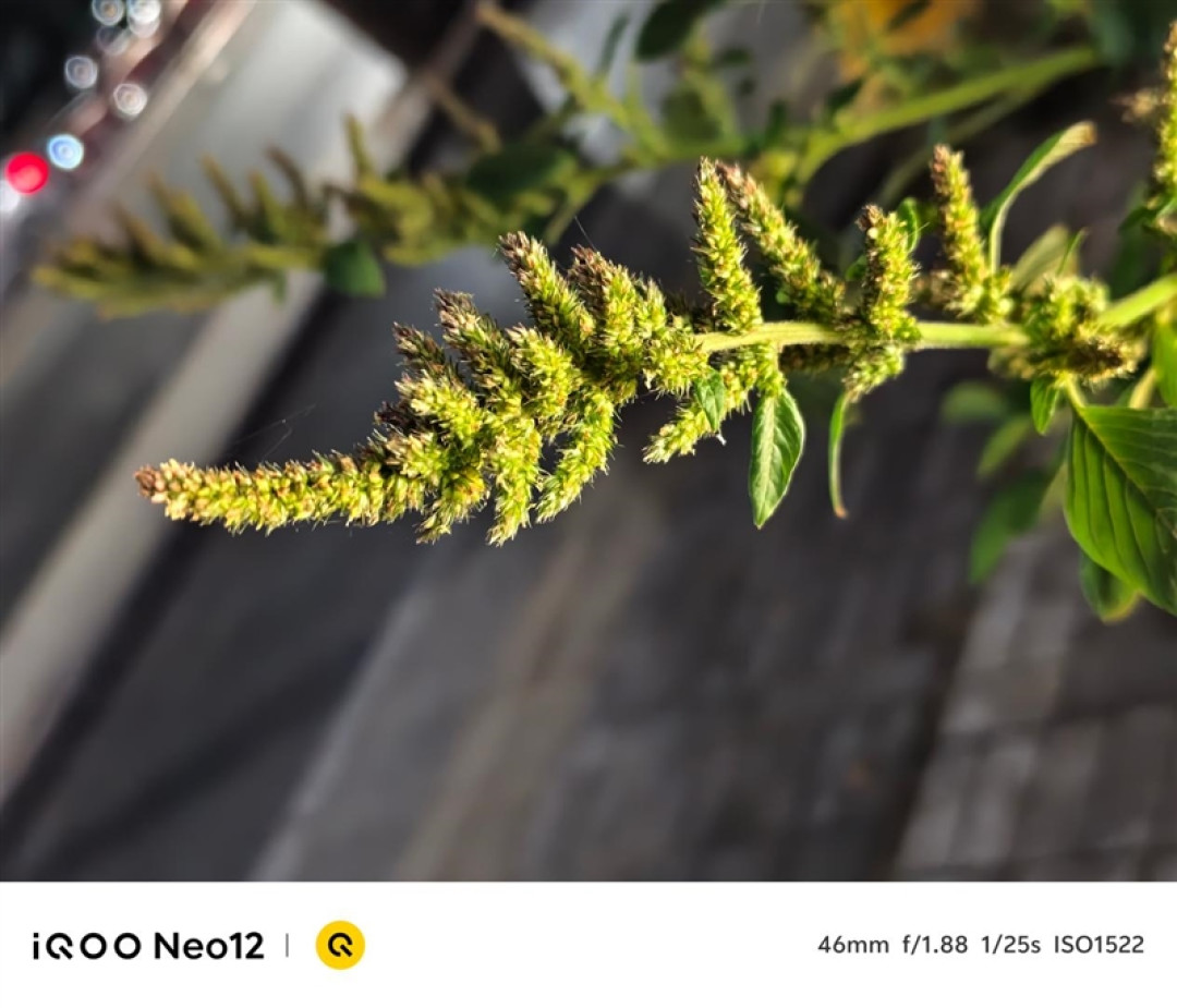 iQOO Neo12全面评测 风扇藏进镜头模组 重度玩家的新选择