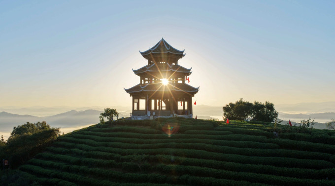 基础健康