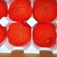 京鲜生爱媛果冻橙测评