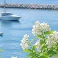 备孕期如何储备充足骨营养？安全款维生素D3清单，兼顾母体骨骼