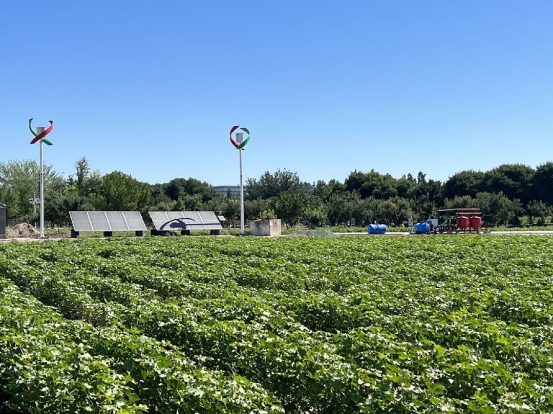 咸海"船坟场"：60年退掉90%的水面，船为何再也下不了水？