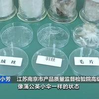 双11羽绒服降了约三成就该冲？吊牌缺这个数字，打折也是买贵