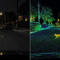 前特斯拉Autopilot负责人抨击纯视觉方案：无视物理规律的“奇怪执念”
