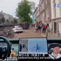 纯视觉被前高管质疑，现在买特斯拉要不要等方案调整
