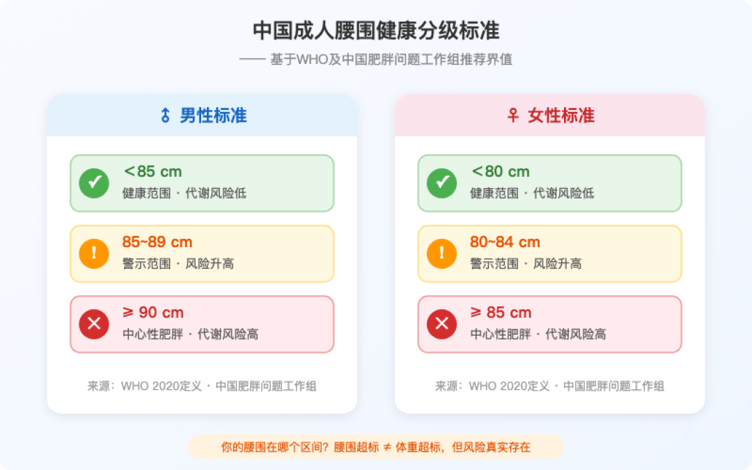 40岁兄弟练一个月肚子没小?内脏脂肪先动了,秤看不见