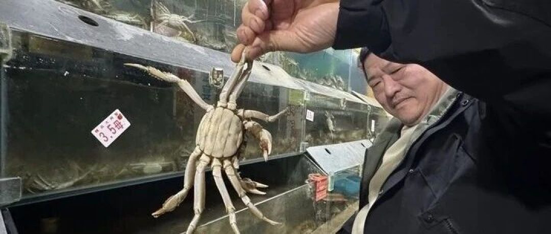 标4两到手3两出头?去绳逐只上秤,超7%能按只退款