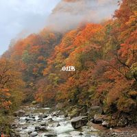 加满一箱多花14元、光雾山红叶正当时｜自驾出行10.30日报