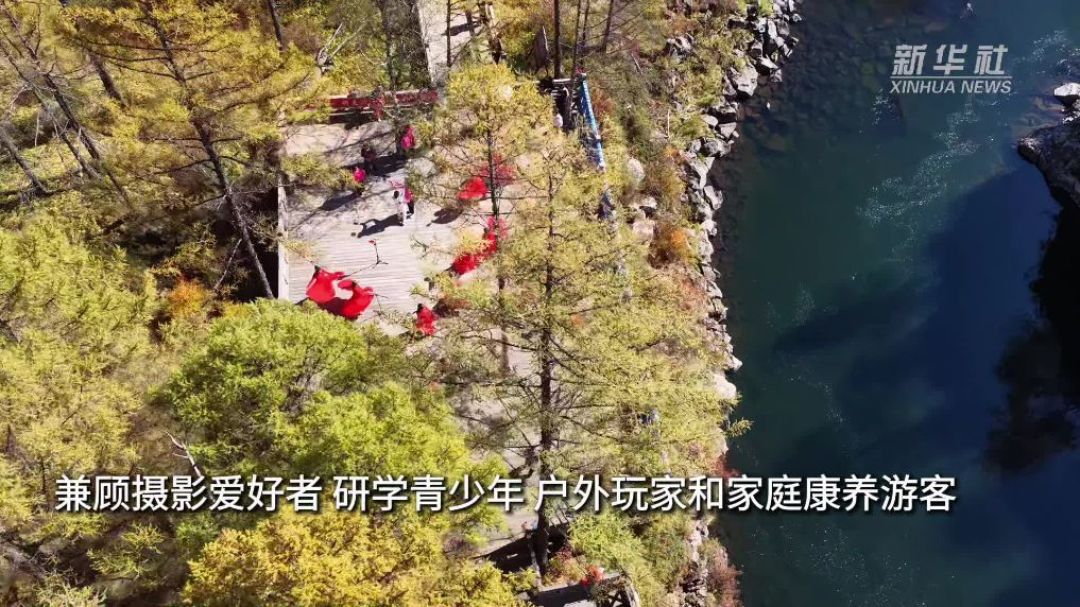 你捡的秋天正在变脆：保色、防霉、复活干叶指南
