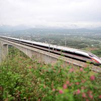 你捡的秋天正在变脆：保色、防霉、复活干叶指南