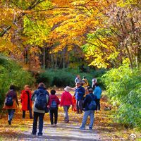 机票低至1.2折、九寨沟彩林进全盛期 | 10.30旅游出行日报