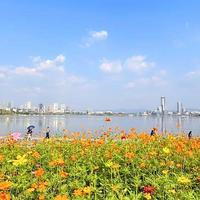 秋假景区免票、赏秋路线末班车 | 亲子户外10.30日报