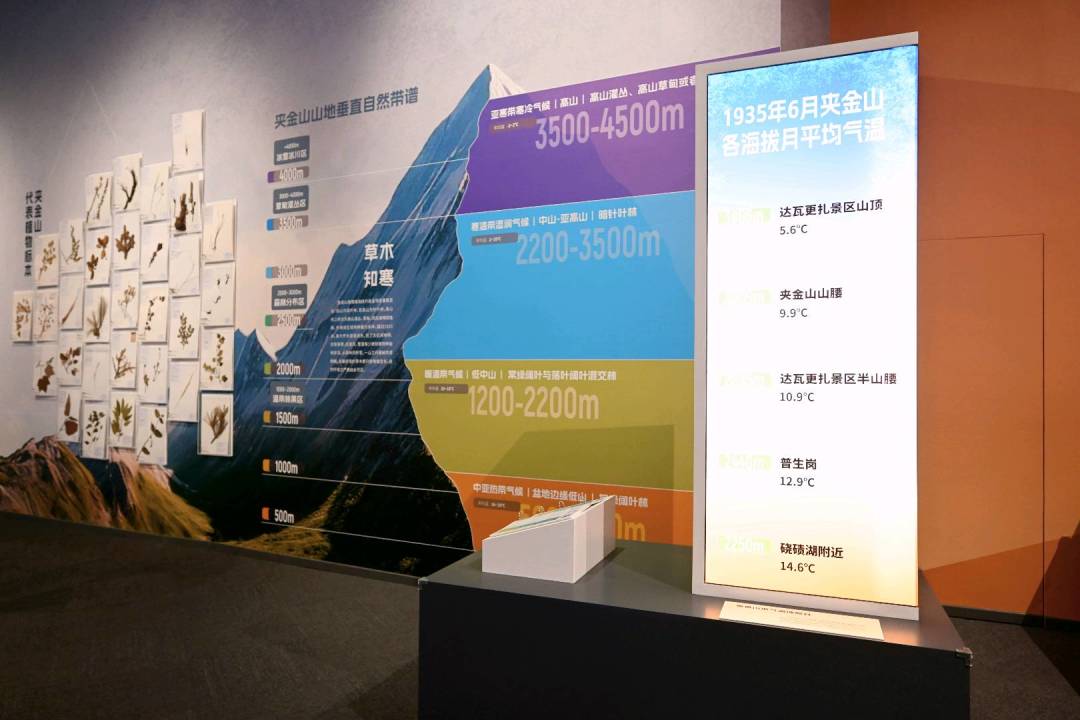 恐龙馆里办长征展,成都这座博物馆把夹金山“搬”进了一楼