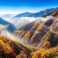 香山才红两三成,坡峰岭已经100%却堵了6小时:赏秋先看两个数