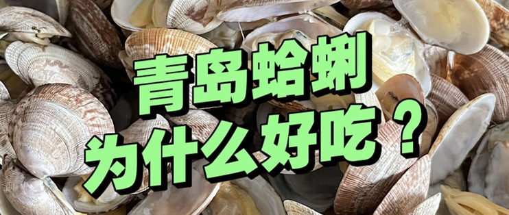 花蛤，在青岛叫“嘎啦”！为什么青岛的花蛤好吃？真的不一样！