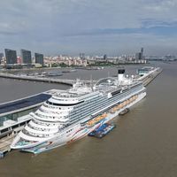 2000张票提前售罄,邮轮全程不靠岸:先分清「省下的岸上游」和「多花的船上钱」