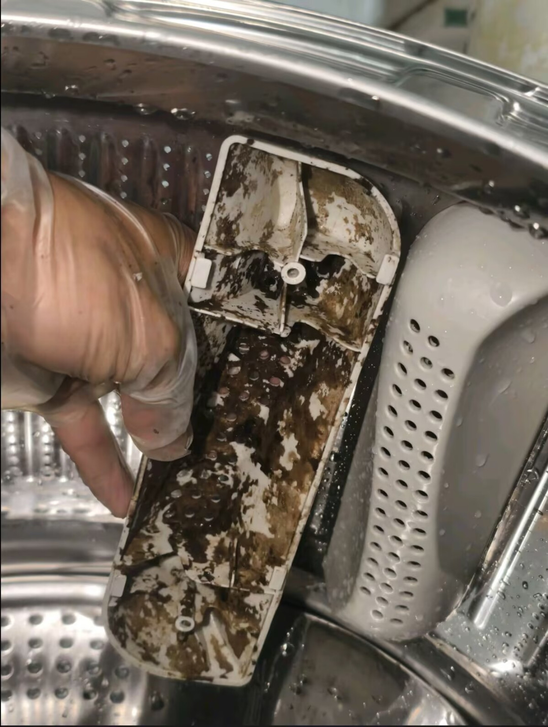 洗衣机被清洁剂洗出“紫菜汤”?先别拆机:波轮泡两轮,滚筒先看说明书