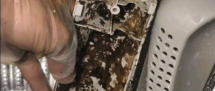 洗衣机被清洁剂洗出“紫菜汤”？先别拆机：波轮泡两轮，滚筒先看说明书