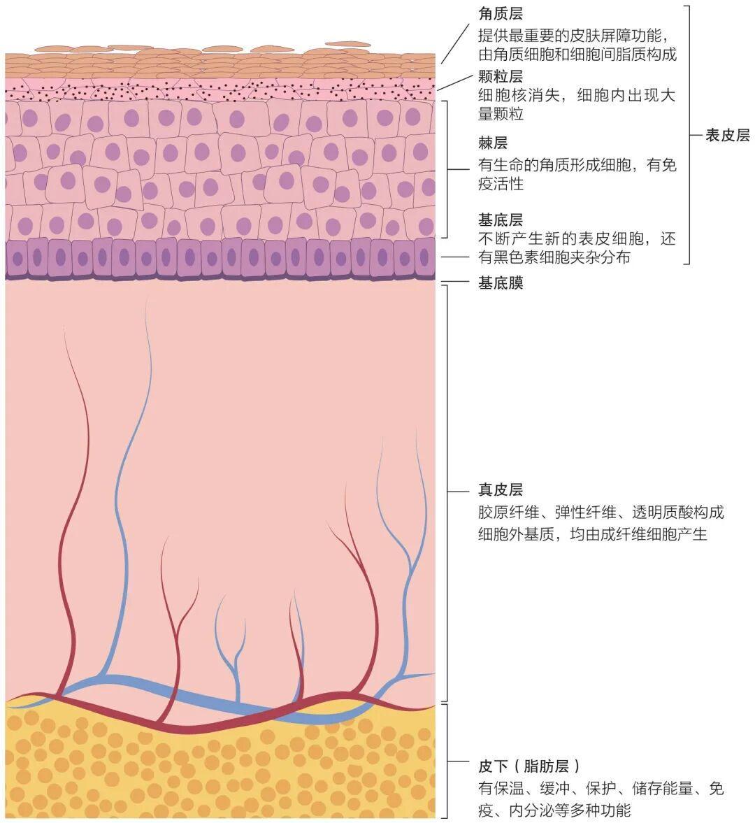 秋冬防晒到底要不要涂?懒人只记这5个判断