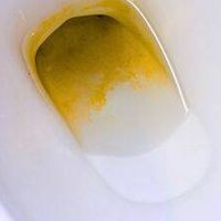马桶内壁一圈黄垢，白醋加小苏打泡一夜，一冲就亮