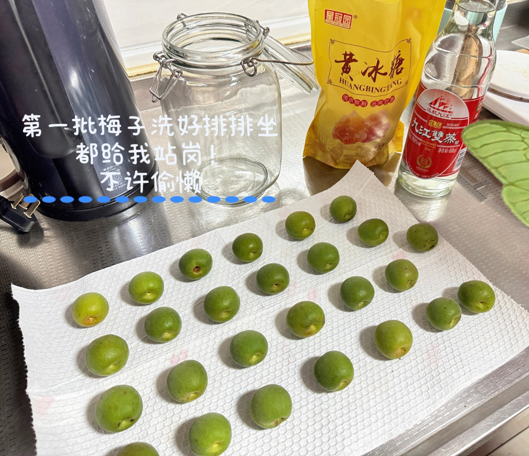 青梅酒立冬开坛,评论区那4个问题比配方更要命