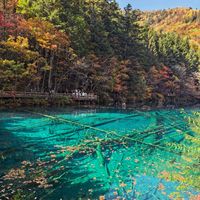 九寨沟彩林季进入最后一周:门票天天约满,真没必要大冷天排队抢票