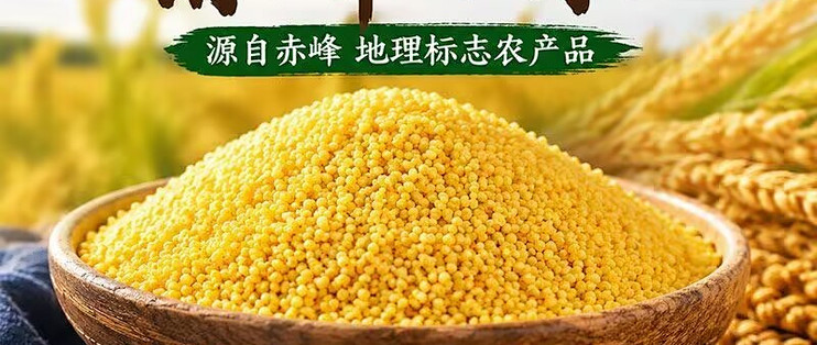🌾世界小米之乡敖汉当季新米｜憨农张小米金苗 K1