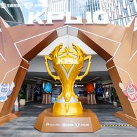 瑞幸也开始炖奶了：你杯里桃胶的“胶原”是假的，木薯这三步千万别省